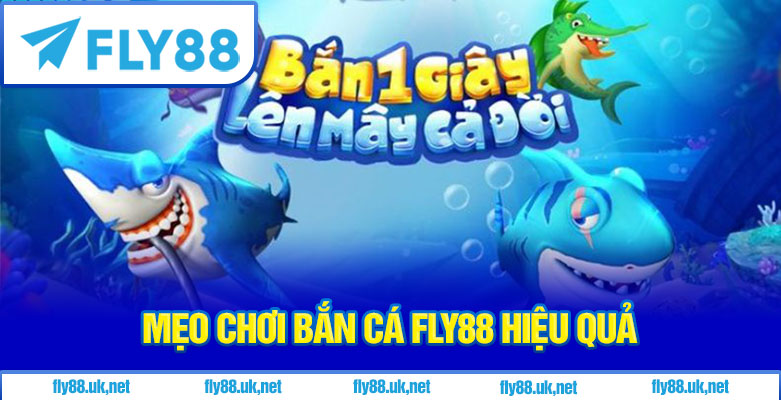 Mẹo chơi bắn cá Fly88 hiệu quả