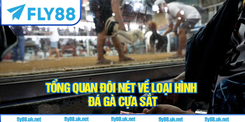 Tổng quan đôi nét về loại hình đá gà cựa sắt
